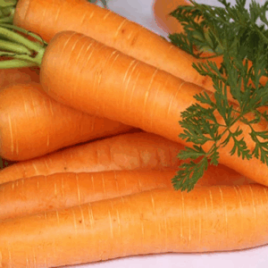 SEMENTE DE CENOURA BRASÍLIA ENVELOPE 2G