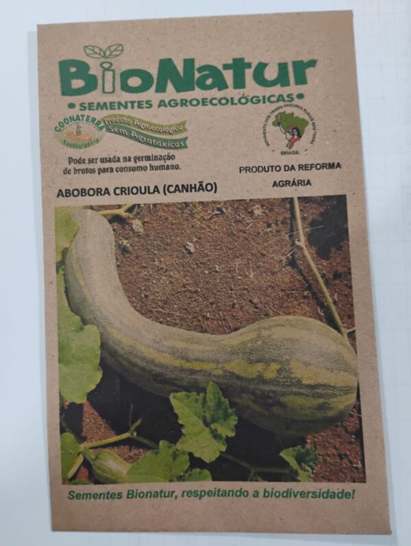 SEMENTE CRIOULA DE ABOBORA ENVELOPE 3G