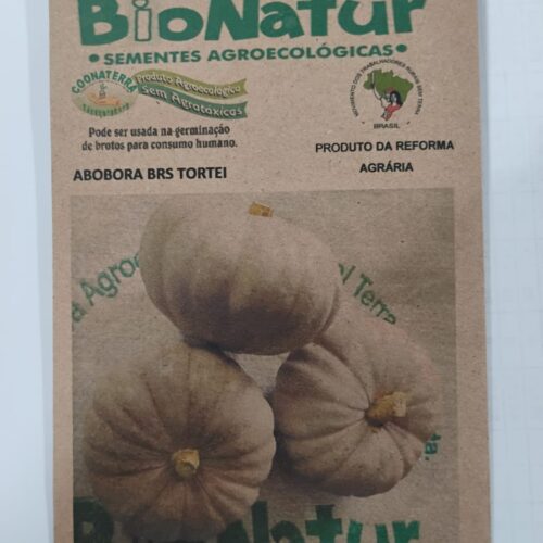 SEMENTE DE ABOBRINHA BRS TORTEI ENVELOPE 3GR
