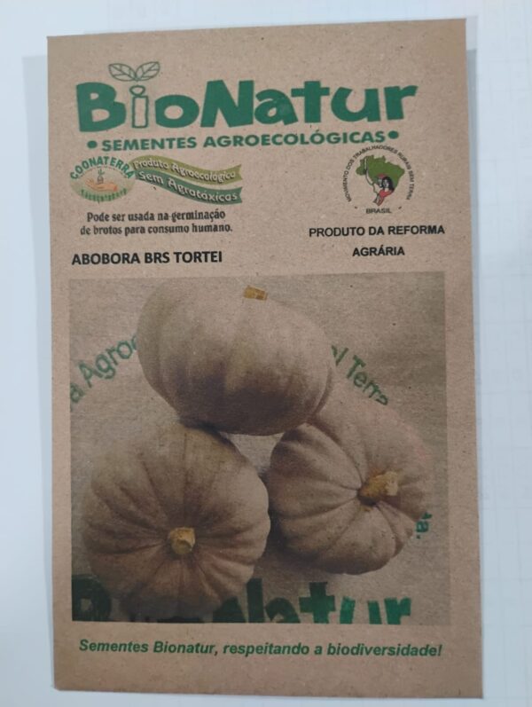 SEMENTE DE ABOBRINHA BRS TORTEI ENVELOPE 3GR