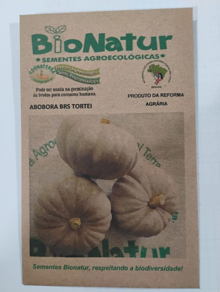 SEMENTE DE ABOBRINHA BRS TORTEI ENVELOPE 3GR
