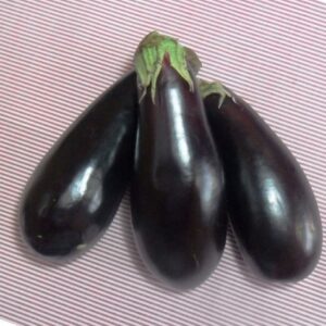 SEMENTE DE BERINJELA PRETA COMPRIDA ENVELOPE 1G