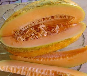 SEMENTE DE MELÃO GAÚCHO (CAIPIRA) ENVELOPE 2G