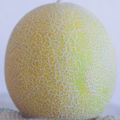 SEMENTE DE MELÂO IMPERIAL ENVELOPE  3GR