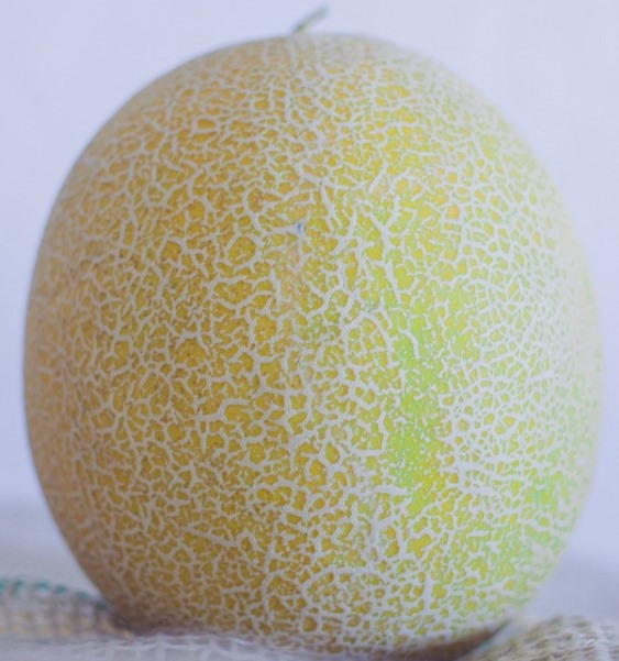 SEMENTE DE MELÂO IMPERIAL ENVELOPE  3GR