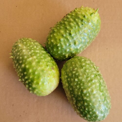 SEMENTE DE MAXIXE PACOTE 3GR